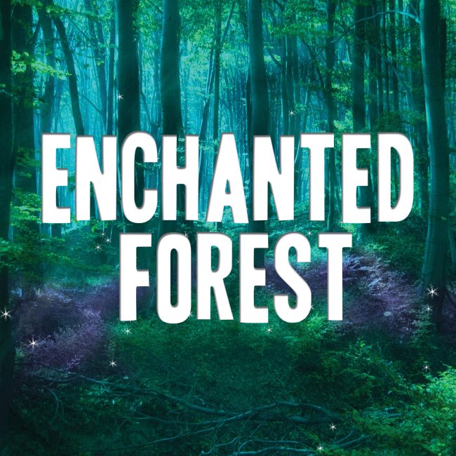 enchanted forest theme cover image