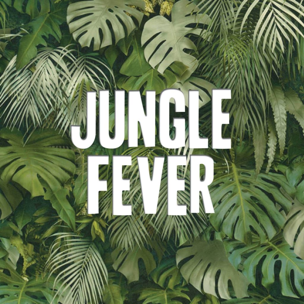 Jungle Fever Theme