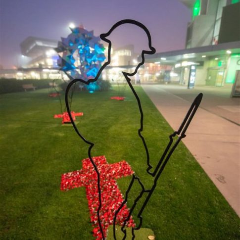 Picture of Anzac Soldier Custom Build