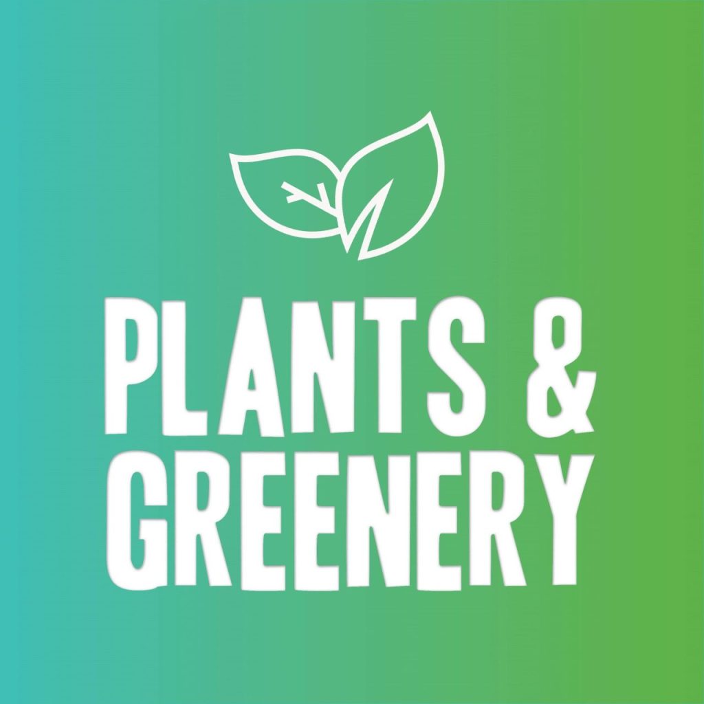 Plants/Greenery