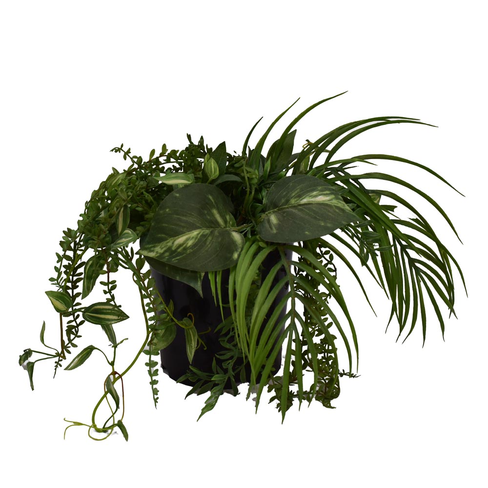 Centrepiece - Tropical