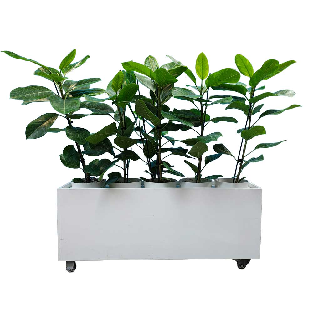 Planter - Moveable - White